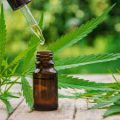 Cannabis Oil - čištění těla - cena - prodejna - akční