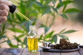 Cannabis Oil - čištění těla - složení - jak používat - kapky