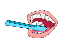 Oral Care - bělení zubů - lékárna - prodejna - česká republika